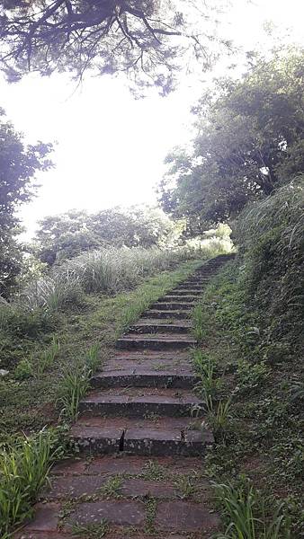 121235.jpg 121235.jpg