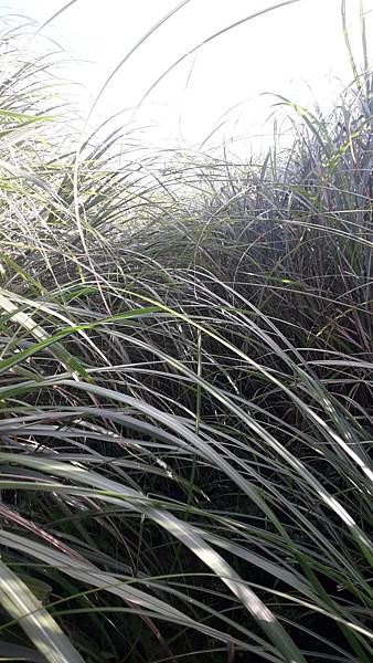 121238.jpg 121238.jpg