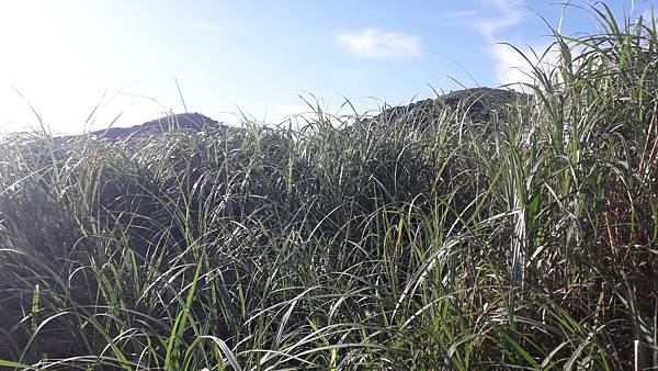 121012.jpg 121012.jpg