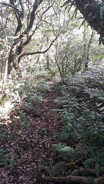 121245.jpg 121245.jpg