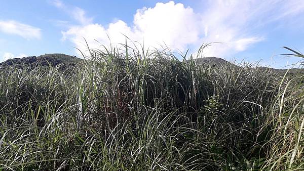 121239.jpg 121239.jpg