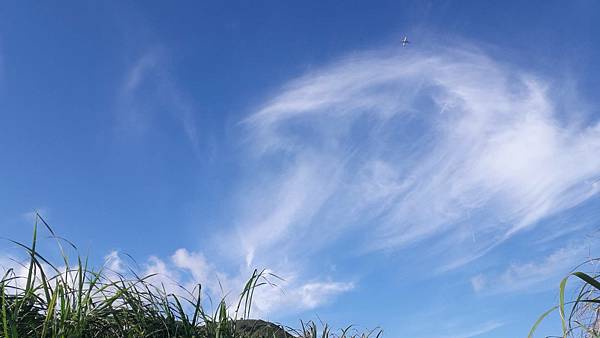 121011.jpg 121011.jpg