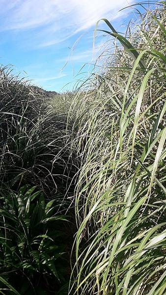 121243.jpg 121243.jpg