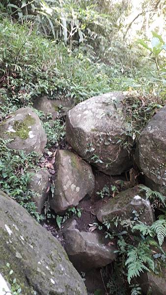 121246.jpg 121246.jpg