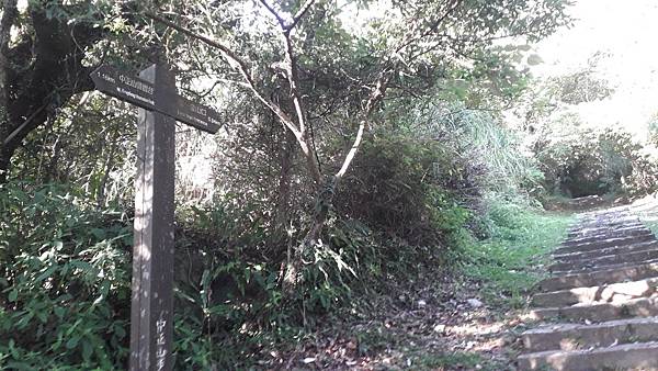 121248.jpg 121248.jpg