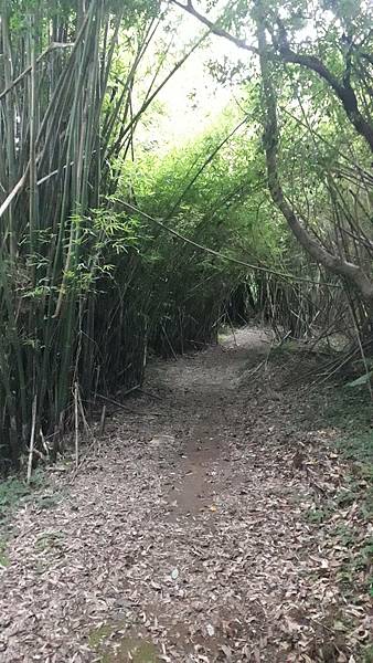 121253.jpg 121253.jpg