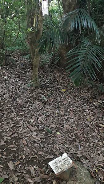 121256.jpg 121256.jpg