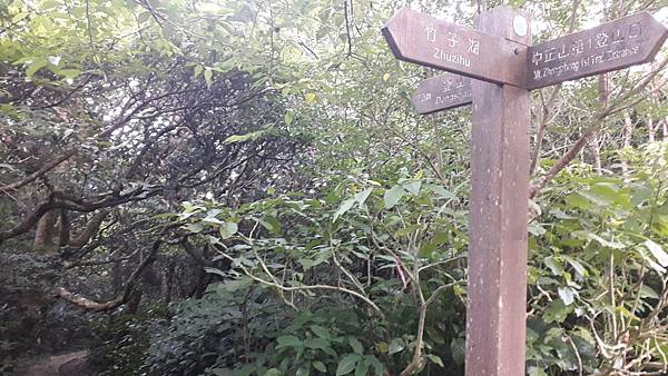 121252.jpg 121252.jpg