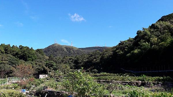 121274.jpg 121274.jpg