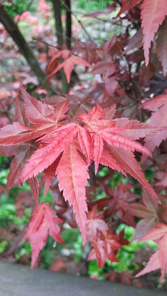 121510.jpg 121510.jpg