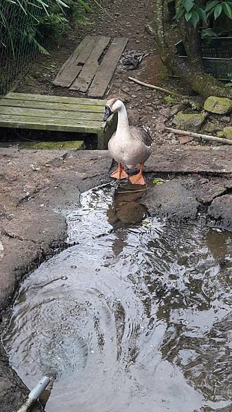 121511.jpg 121511.jpg