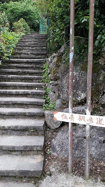 121512.jpg 121512.jpg