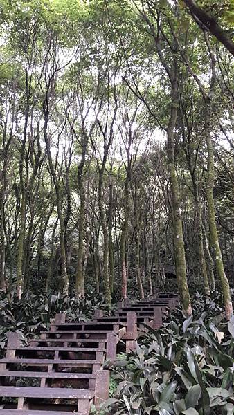 121513.jpg 121513.jpg