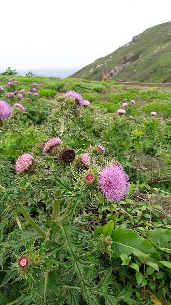 東引、東西莒~馬祖的離島卡蹓趣 南北交通、景點一次看 東引、東西莒~馬祖的離島卡蹓趣 南北交通、景點一次看