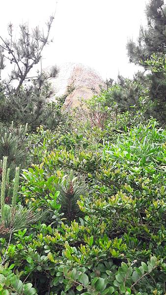 東引、東西莒~馬祖的離島卡蹓趣 南北交通、景點一次看 東引、東西莒~馬祖的離島卡蹓趣 南北交通、景點一次看