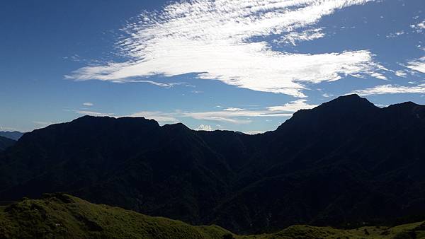 奇萊東稜~泳渡箭竹林的四大障礙之一 挑戰意志力~錦毛鼠 百岳 奇萊東稜~泳渡箭竹林的四大障礙之一 挑戰意志力~錦毛鼠 百岳