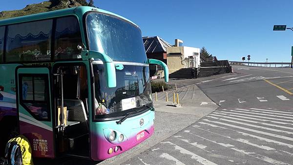 奇萊東稜~泳渡箭竹林的四大障礙之一 挑戰意志力~錦毛鼠 百岳 奇萊東稜~泳渡箭竹林的四大障礙之一 挑戰意志力~錦毛鼠 百岳