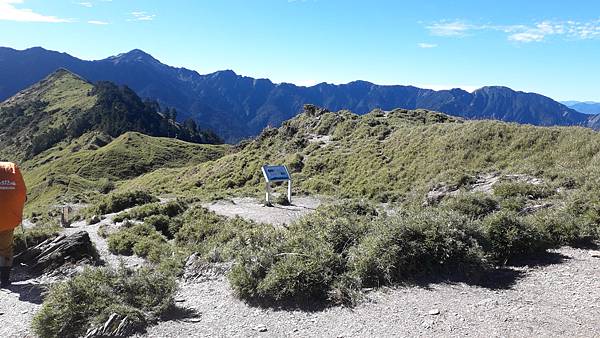 奇萊東稜~泳渡箭竹林的四大障礙之一 挑戰意志力~錦毛鼠 百岳 奇萊東稜~泳渡箭竹林的四大障礙之一 挑戰意志力~錦毛鼠 百岳