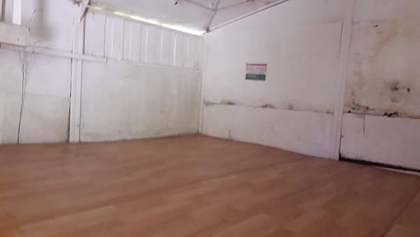 奇萊東稜~泳渡箭竹林的四大障礙之一 挑戰意志力~錦毛鼠 百岳 奇萊東稜~泳渡箭竹林的四大障礙之一 挑戰意志力~錦毛鼠 百岳