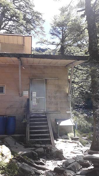 奇萊東稜~泳渡箭竹林的四大障礙之一 挑戰意志力~錦毛鼠 百岳 奇萊東稜~泳渡箭竹林的四大障礙之一 挑戰意志力~錦毛鼠 百岳