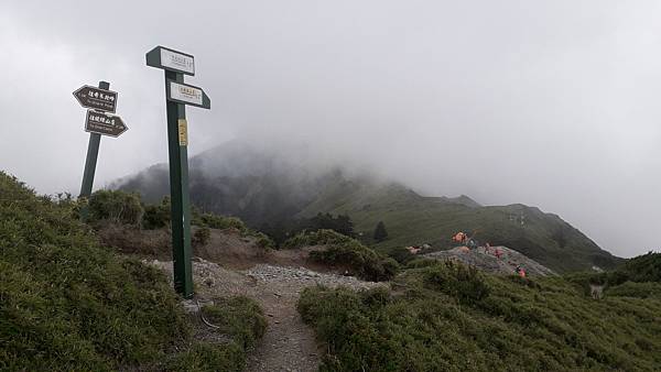 奇萊東稜~泳渡箭竹林的四大障礙之一 挑戰意志力~錦毛鼠 百岳 奇萊東稜~泳渡箭竹林的四大障礙之一 挑戰意志力~錦毛鼠 百岳