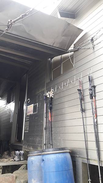 奇萊東稜~泳渡箭竹林的四大障礙之一 挑戰意志力~錦毛鼠 百岳 奇萊東稜~泳渡箭竹林的四大障礙之一 挑戰意志力~錦毛鼠 百岳