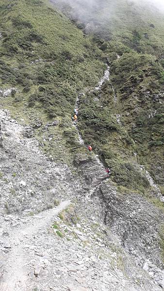 奇萊東稜~泳渡箭竹林的四大障礙之一 挑戰意志力~錦毛鼠 百岳 奇萊東稜~泳渡箭竹林的四大障礙之一 挑戰意志力~錦毛鼠 百岳