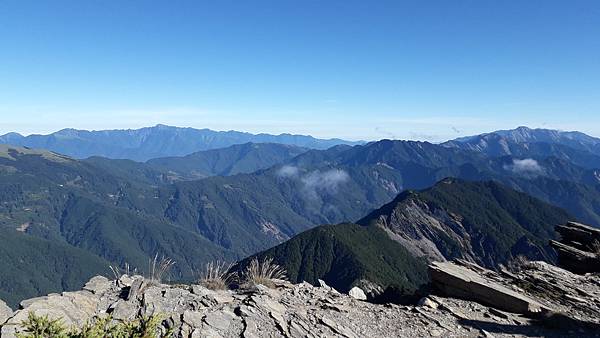 奇萊東稜~泳渡箭竹林的四大障礙之一 挑戰意志力~錦毛鼠 百岳 奇萊東稜~泳渡箭竹林的四大障礙之一 挑戰意志力~錦毛鼠 百岳