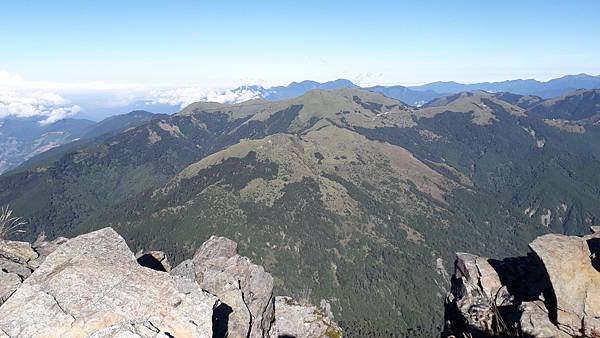 奇萊東稜~泳渡箭竹林的四大障礙之一 挑戰意志力~錦毛鼠 百岳 奇萊東稜~泳渡箭竹林的四大障礙之一 挑戰意志力~錦毛鼠 百岳