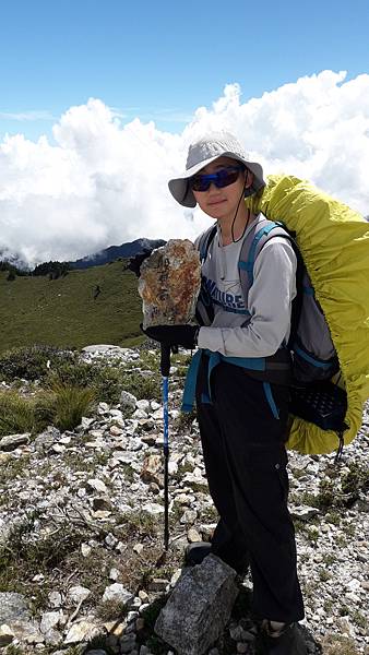 奇萊東稜~泳渡箭竹林的四大障礙之一 挑戰意志力~錦毛鼠 百岳 奇萊東稜~泳渡箭竹林的四大障礙之一 挑戰意志力~錦毛鼠 百岳