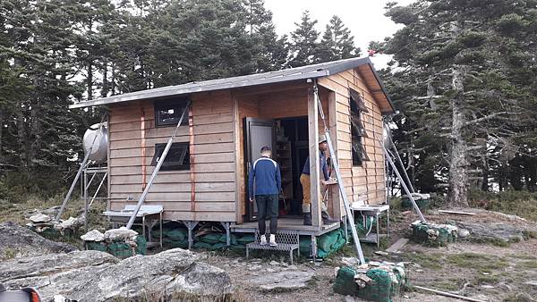 奇萊東稜~泳渡箭竹林的四大障礙之一 挑戰意志力~錦毛鼠 百岳 奇萊東稜~泳渡箭竹林的四大障礙之一 挑戰意志力~錦毛鼠 百岳