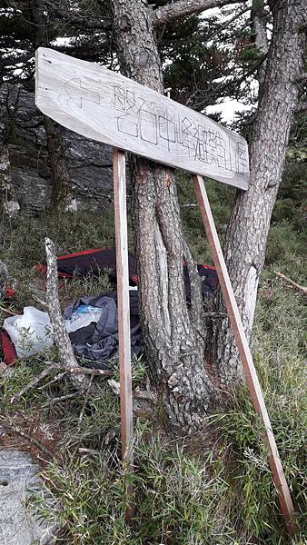 奇萊東稜~泳渡箭竹林的四大障礙之一 挑戰意志力~錦毛鼠 百岳 奇萊東稜~泳渡箭竹林的四大障礙之一 挑戰意志力~錦毛鼠 百岳