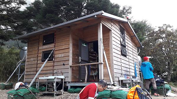 奇萊東稜~泳渡箭竹林的四大障礙之一 挑戰意志力~錦毛鼠 百岳 奇萊東稜~泳渡箭竹林的四大障礙之一 挑戰意志力~錦毛鼠 百岳