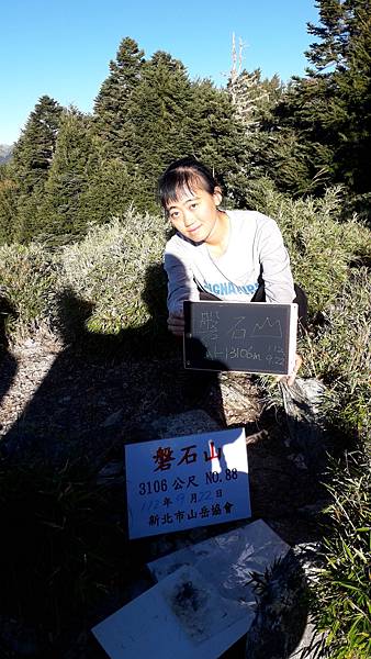 奇萊東稜~泳渡箭竹林的四大障礙之一 挑戰意志力~錦毛鼠 百岳 奇萊東稜~泳渡箭竹林的四大障礙之一 挑戰意志力~錦毛鼠 百岳