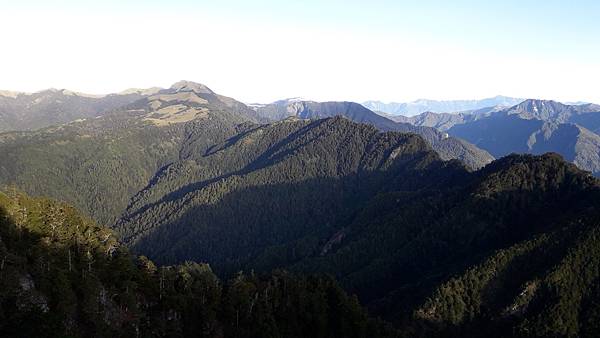 奇萊東稜~泳渡箭竹林的四大障礙之一 挑戰意志力~錦毛鼠 百岳 奇萊東稜~泳渡箭竹林的四大障礙之一 挑戰意志力~錦毛鼠 百岳