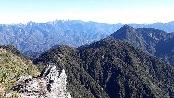 奇萊東稜~泳渡箭竹林的四大障礙之一 挑戰意志力~錦毛鼠 百岳 奇萊東稜~泳渡箭竹林的四大障礙之一 挑戰意志力~錦毛鼠 百岳