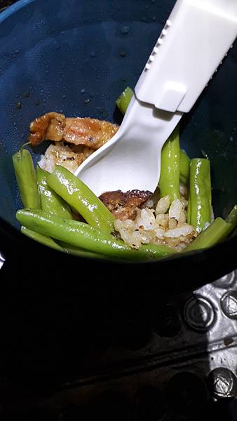 奇萊東稜~泳渡箭竹林的四大障礙之一 挑戰意志力~錦毛鼠 百岳 奇萊東稜~泳渡箭竹林的四大障礙之一 挑戰意志力~錦毛鼠 百岳