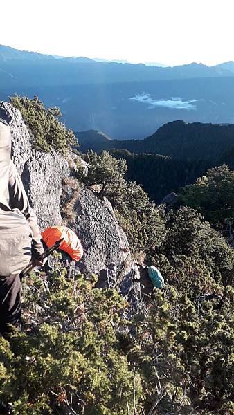 奇萊東稜~泳渡箭竹林的四大障礙之一 挑戰意志力~錦毛鼠 百岳 奇萊東稜~泳渡箭竹林的四大障礙之一 挑戰意志力~錦毛鼠 百岳