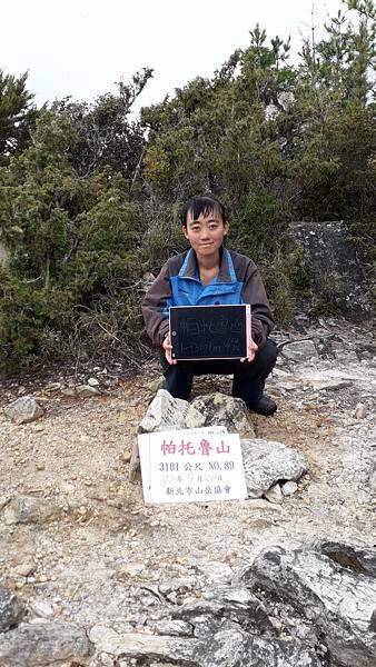 奇萊東稜~泳渡箭竹林的四大障礙之一 挑戰意志力~錦毛鼠 百岳 奇萊東稜~泳渡箭竹林的四大障礙之一 挑戰意志力~錦毛鼠 百岳