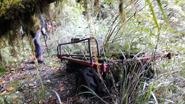 奇萊東稜~泳渡箭竹林的四大障礙之一 挑戰意志力~錦毛鼠 百岳 奇萊東稜~泳渡箭竹林的四大障礙之一 挑戰意志力~錦毛鼠 百岳