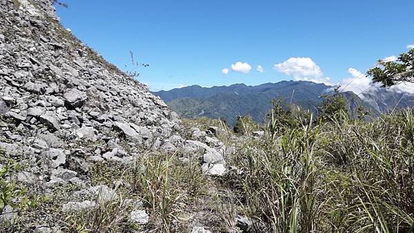 奇萊東稜~泳渡箭竹林的四大障礙之一 挑戰意志力~錦毛鼠 百岳 奇萊東稜~泳渡箭竹林的四大障礙之一 挑戰意志力~錦毛鼠 百岳