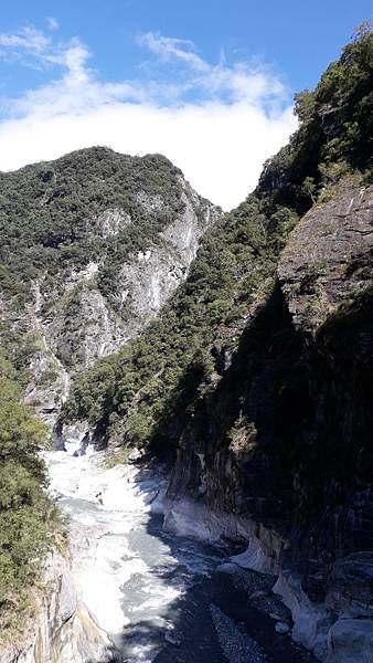 奇萊東稜~泳渡箭竹林的四大障礙之一 挑戰意志力~錦毛鼠 百岳 奇萊東稜~泳渡箭竹林的四大障礙之一 挑戰意志力~錦毛鼠 百岳