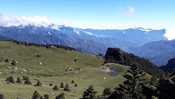 奇萊東稜~泳渡箭竹林的四大障礙之一 挑戰意志力~錦毛鼠 百岳 奇萊東稜~泳渡箭竹林的四大障礙之一 挑戰意志力~錦毛鼠 百岳