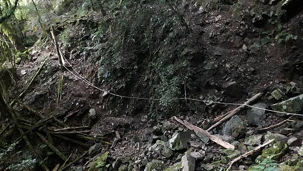 20231003_062224.jpg 20231003_062224.jpg