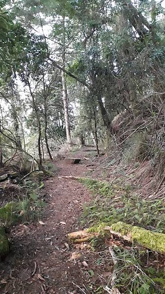 20231003_055829.jpg 20231003_055829.jpg