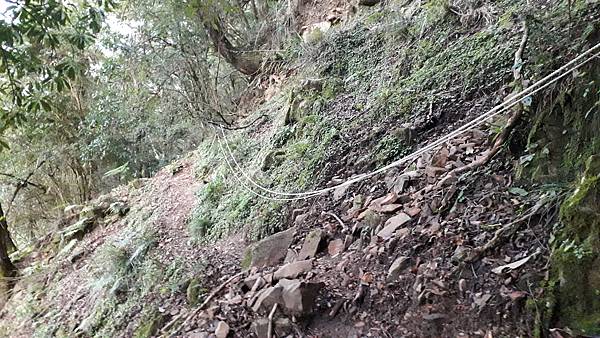 20231003_060711.jpg 20231003_060711.jpg