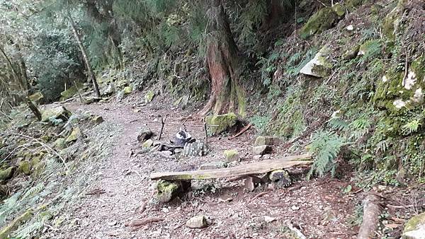 20231003_063239.jpg 20231003_063239.jpg