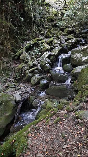 20231003_063349.jpg 20231003_063349.jpg