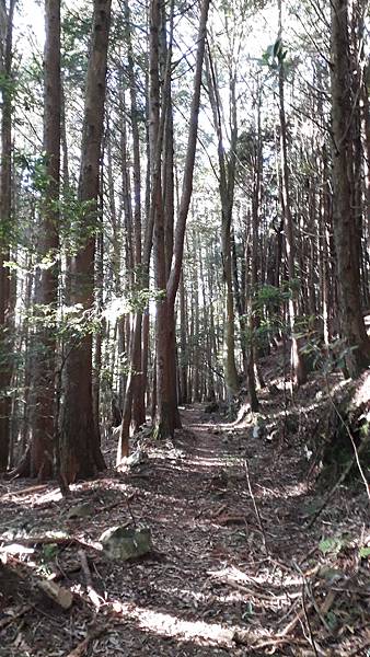 20231003_065236.jpg 20231003_065236.jpg