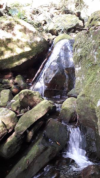 20231003_071749.jpg 20231003_071749.jpg